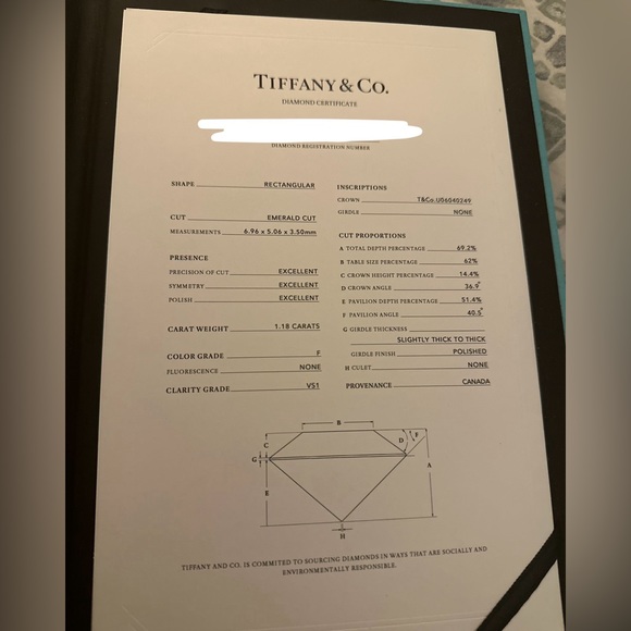 Tiffany & Co. 1.18 Carat Diamond Solitaire Engagement Ring - Picture 5 of 7